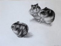 Hamsters 2